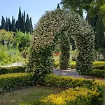 Oasis *
