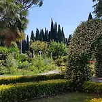 Oasis *