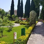 Oasis