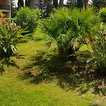 Oasis * Rom