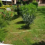 Oasis * Rom