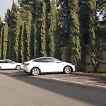 Oasis *