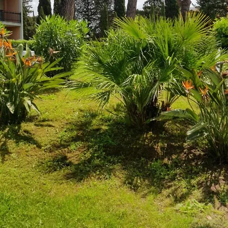 Oasis * Róma