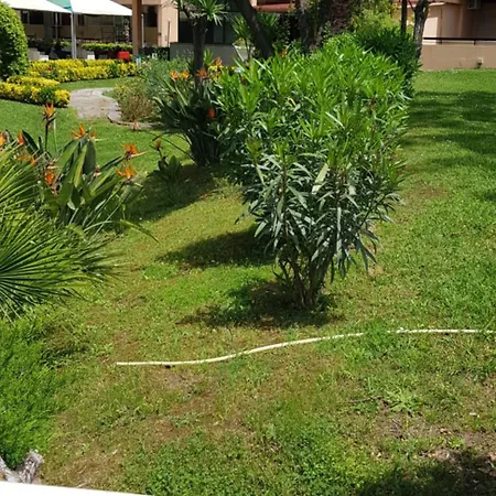 Oasis * Róma