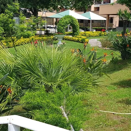 Oasis روما