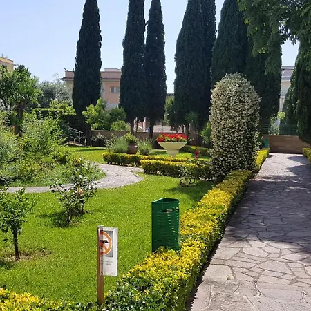 Oasis