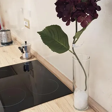 Oasis