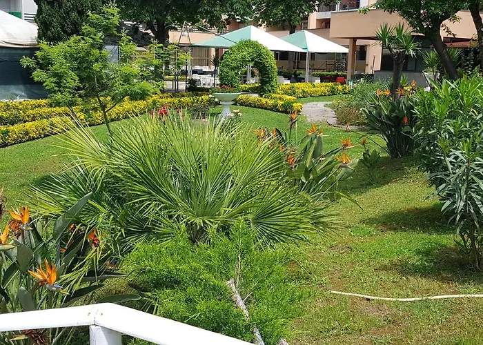 Oasis Rom