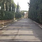 Oasis *